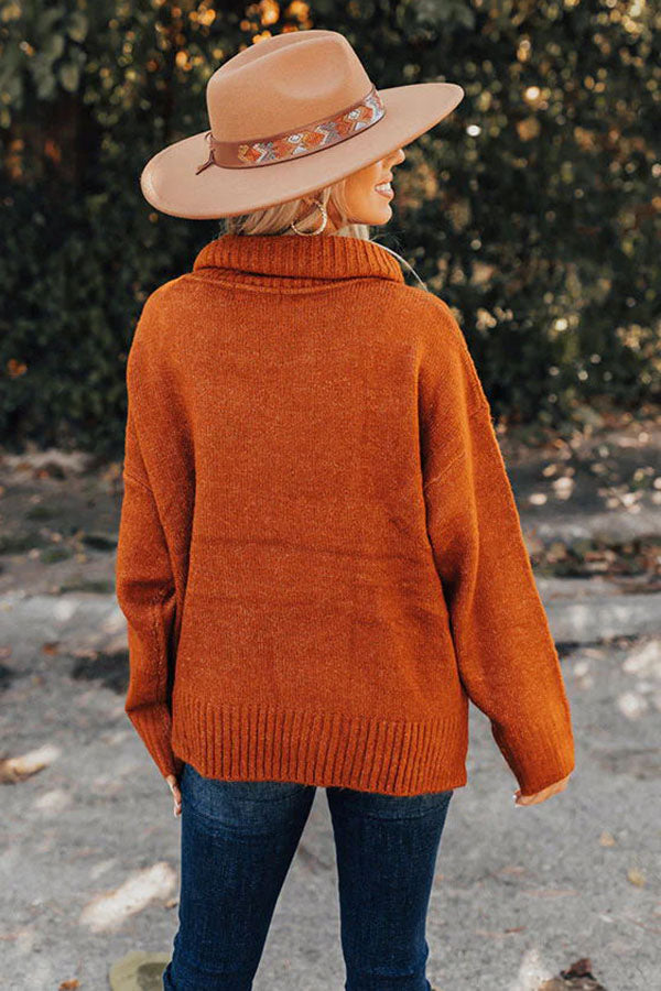 Plush Comfort Solid Color Turtleneck Sweater