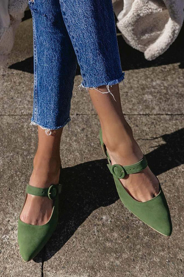 Pointed Toe Buckled Chunky Heels